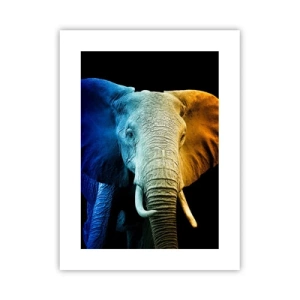 Poster - Exzentrisch, kein Verrückter - 30x40 cm