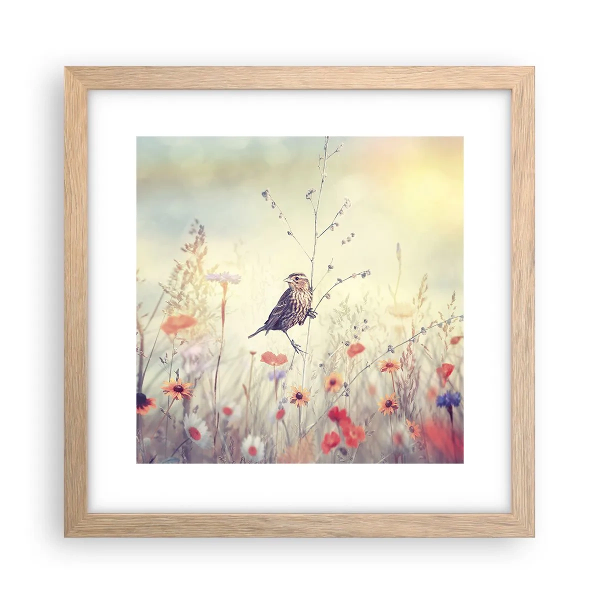 Poster in einem Rahmen aus heller Eiche - Vogelporträt mit einer Wiese im Hintergrund - 30x30 cm