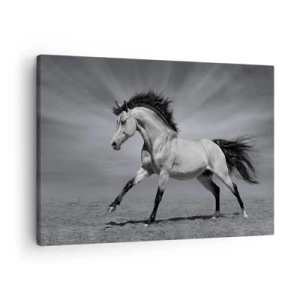 Bild auf Leinwand - Leinwandbild - Ein schwarz-weißes Pferd in einer dynamischen Pose in der Wüste. - 70x50cm - Geboren um Freude zu bereiten - Moderne Wanddekoration für Wohnzimmer und Schlafzimmer ARTTOR