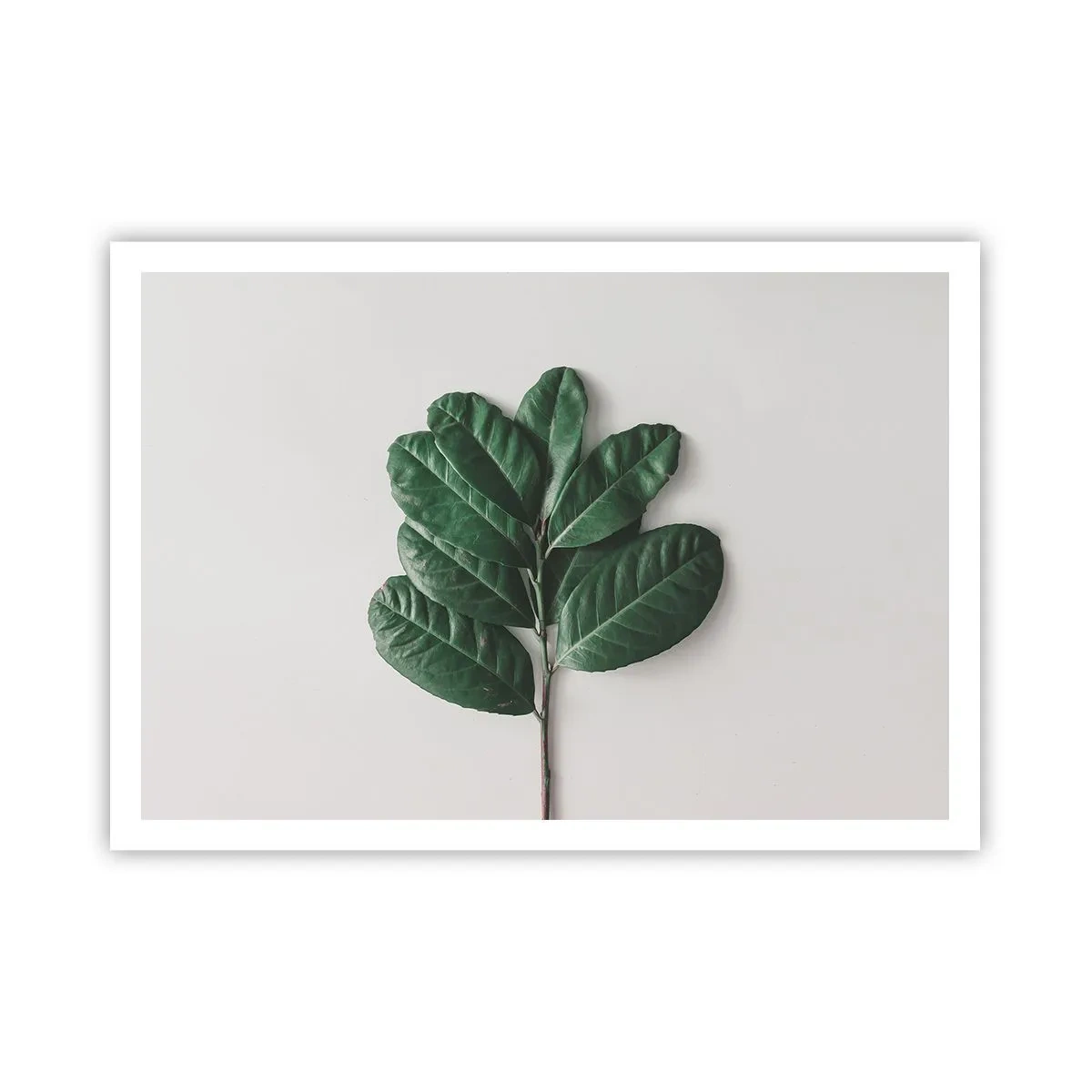 Poster - Ein Zweig grüner Blätter auf hellem Hintergrund - 100x70cm - Eine Zeichnung purer Natur - Moderne Wanddekoration für Wohnzimmer und Schlafzimmer ARTTOR
