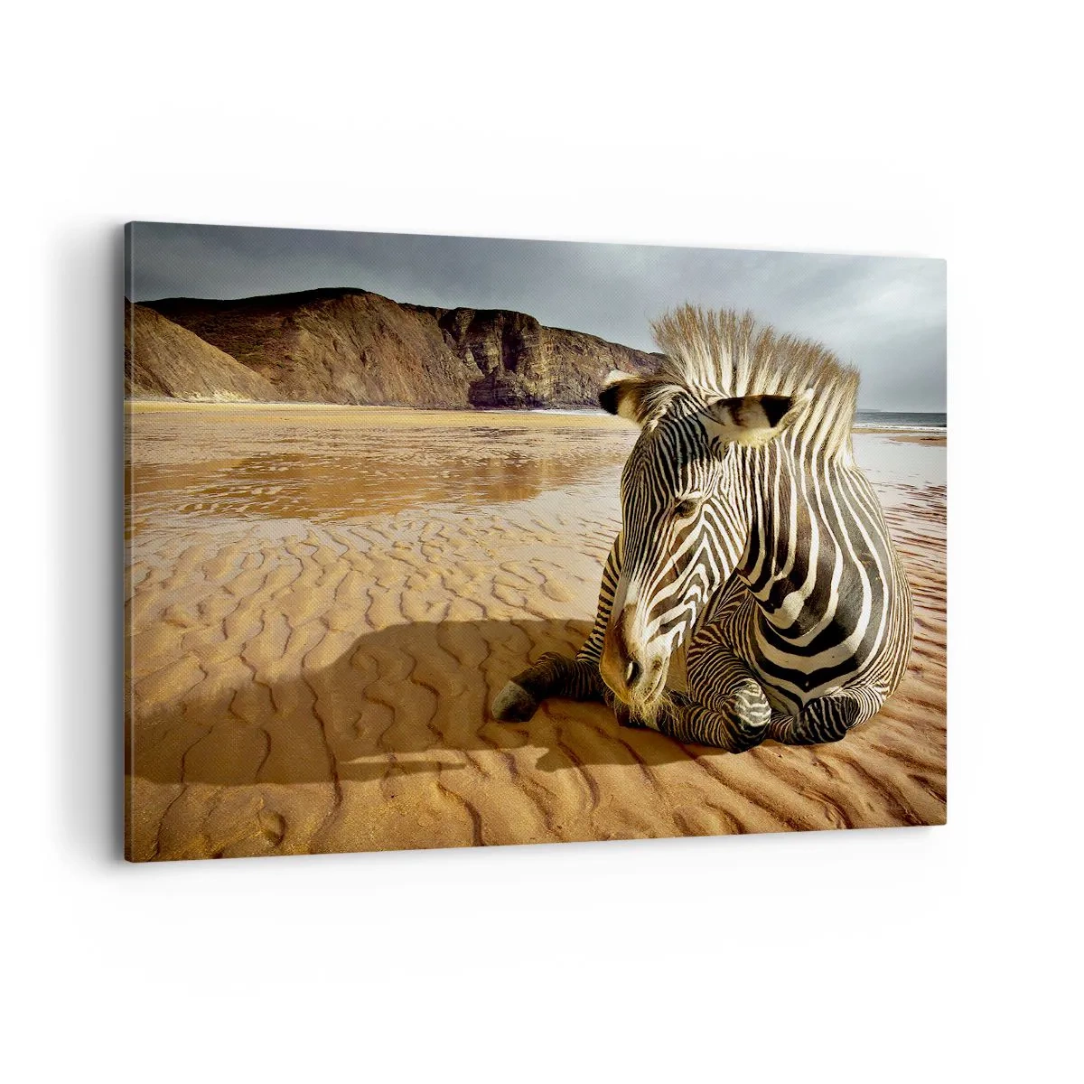 Bild auf Leinwand - Leinwandbild - Ein Zebra ruht sich an einem Sandstrand mit Klippen im Hintergrund aus. - 120x80cm - Wir passen zusammen - Moderne Wanddekoration für Wohnzimmer und Schlafzimmer ARTTOR