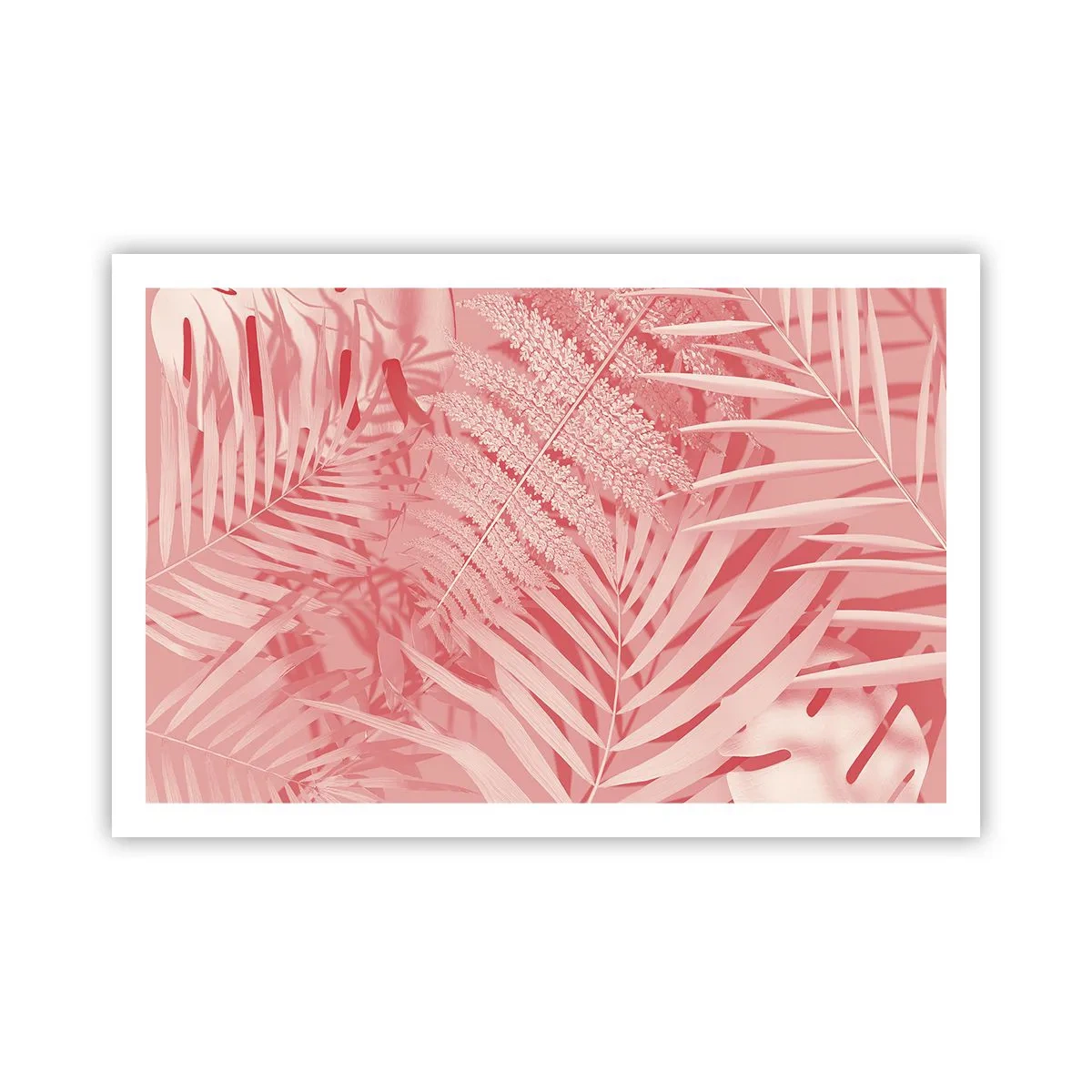 Poster - Rosa Konzept - 91x61 cm