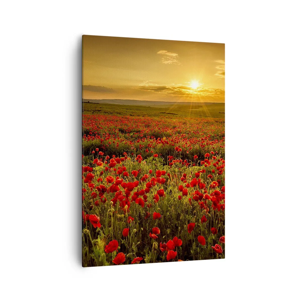 Bild auf Leinwand - Leinwandbild - Ein Feld mit roten Mohnblumen im Schein der untergehenden Sonne - 70x100cm - Unter den Wellen raschelnder Wiesen, unter den Blumen der Flut - Moderne Wanddekoration für Wohnzimmer und Schlafzimmer ARTTOR