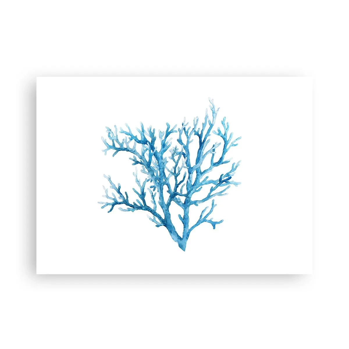 Poster - Nautisches Filigran - 70x50 cm