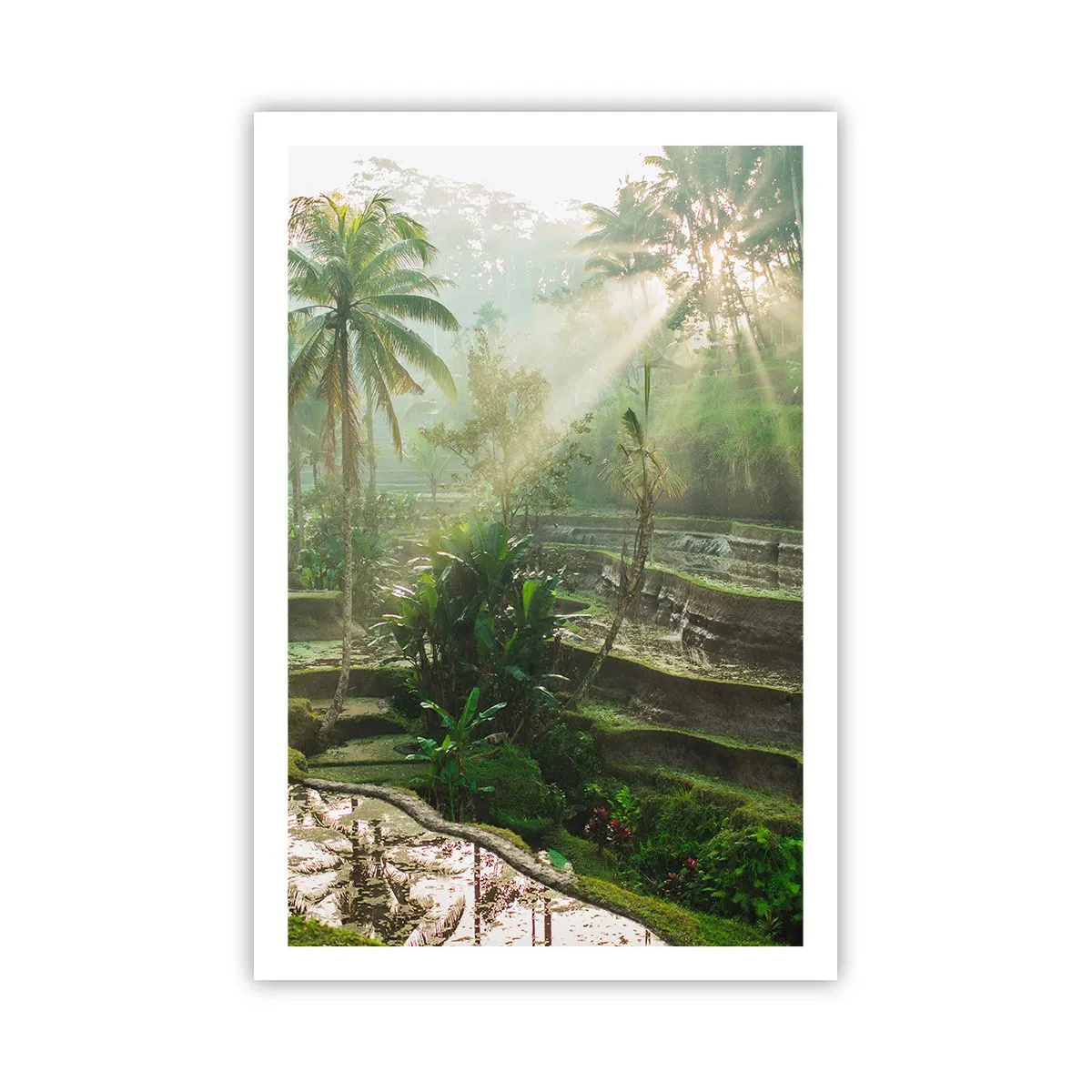 Poster - In der Sonne aufwachsen - 61x91 cm