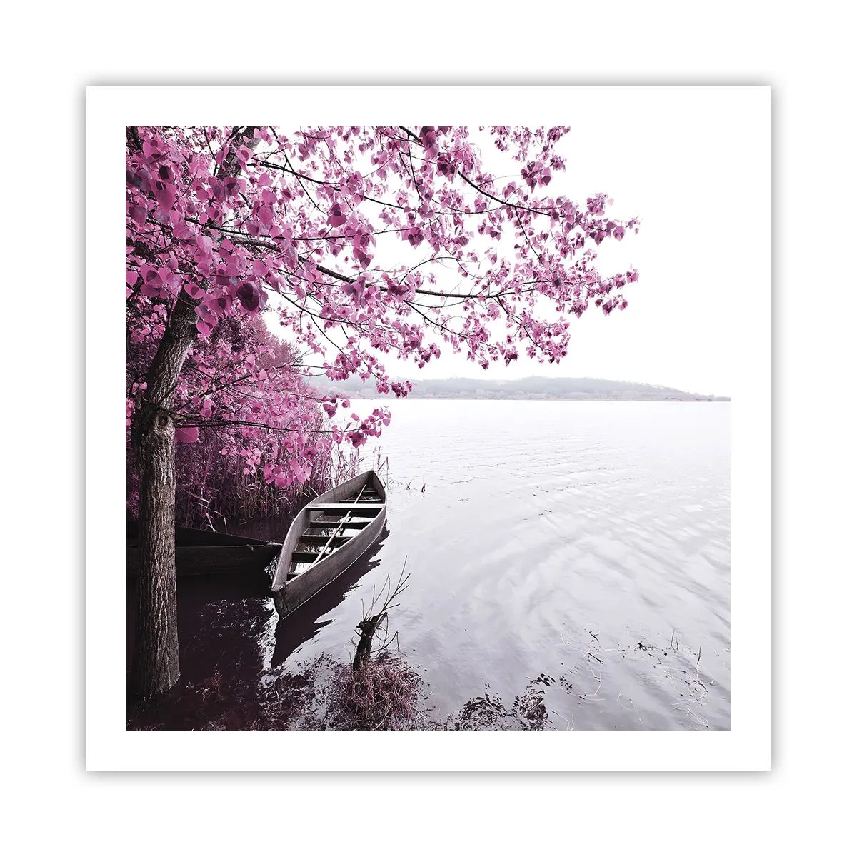 Poster - In rosa Stille - 60x60 cm