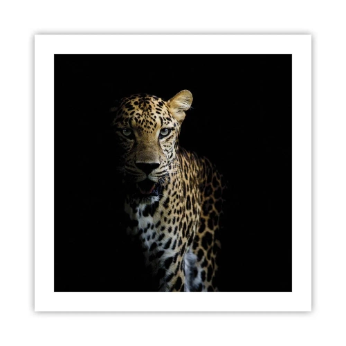 Poster - Dunkle Schönheit - 50x50 cm