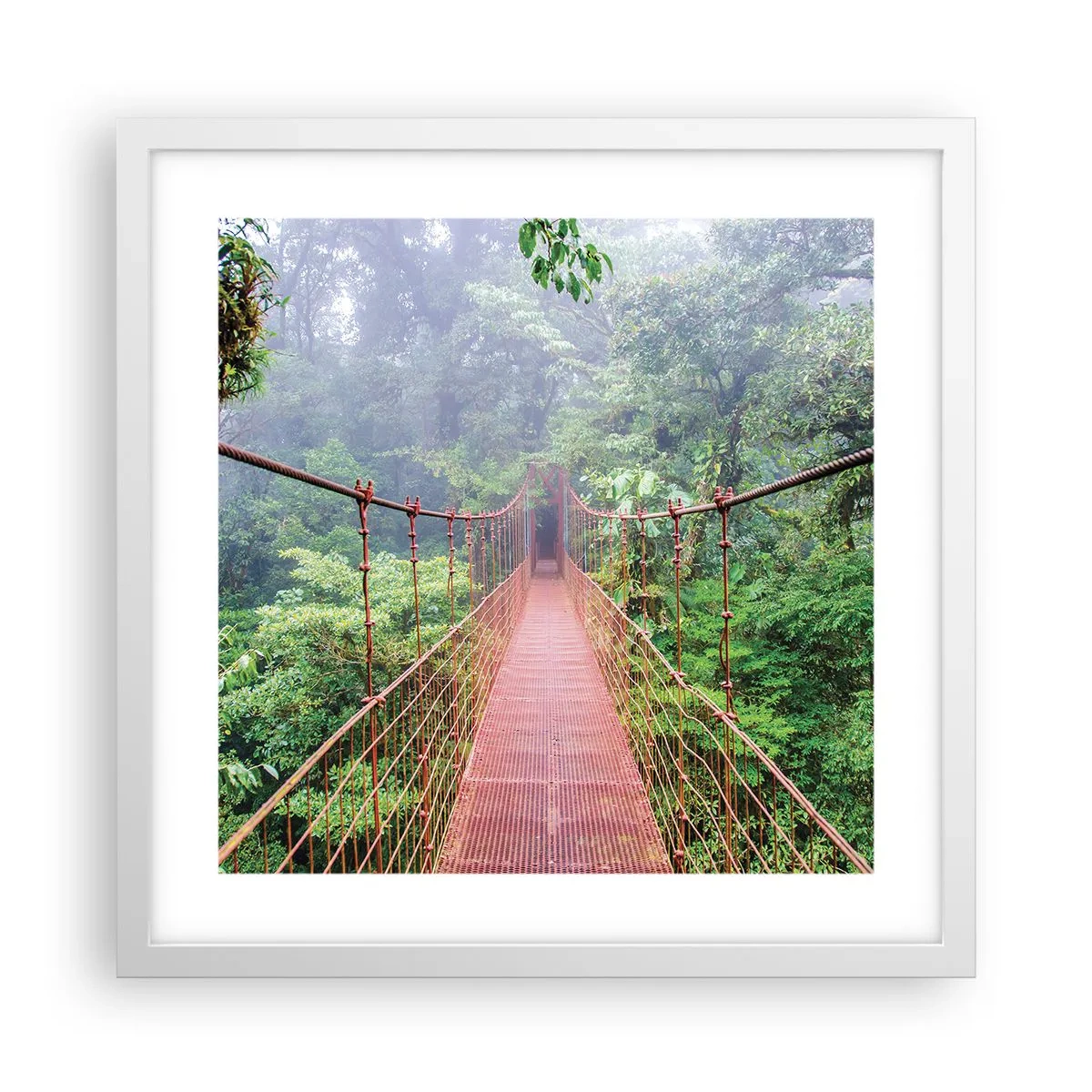 Poster in einem weißen Rahmen - Über den Kronen aufgehängt - 40x40 cm