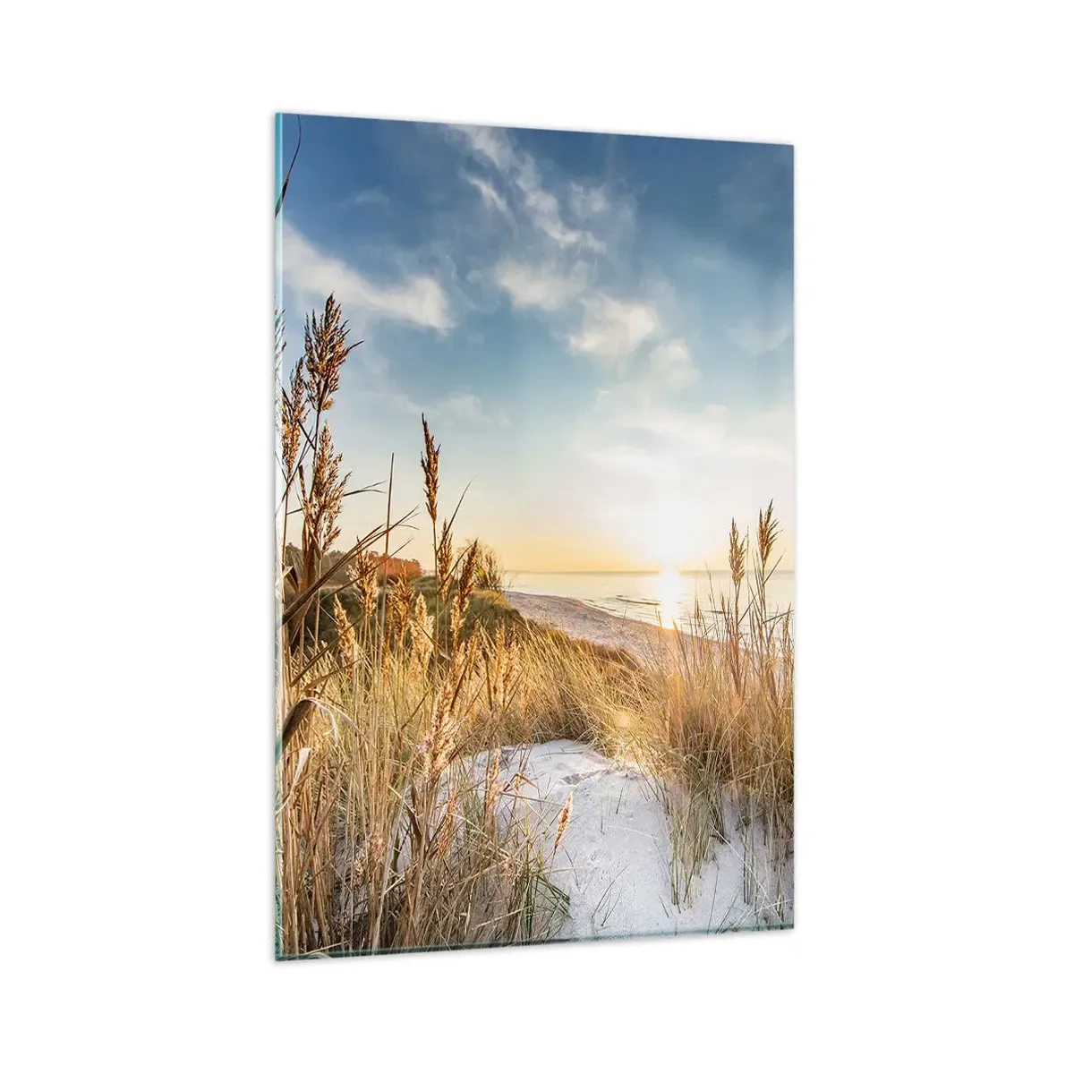 Glasbild - Bild auf glas - Ein malerischer Strand mit Gras und untergehender Sonne - 80x120cm - Nordstrand - Moderne Wanddekoration für Wohnzimmer und Schlafzimmer ARTTOR