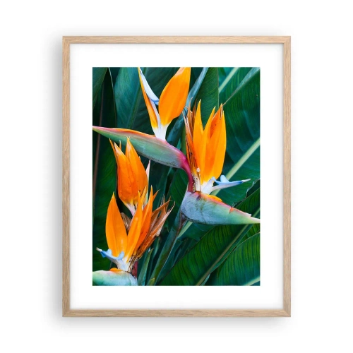 Poster in einem Rahmen aus heller Eiche - Ist es eine Blume oder ist es ein Vogel? - 40x50 cm