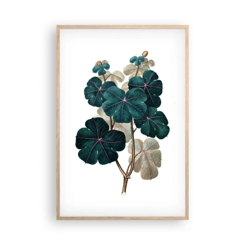 Poster in einem Rahmen aus heller Eiche - Aus dem alten Herbarium - 61x91 cm