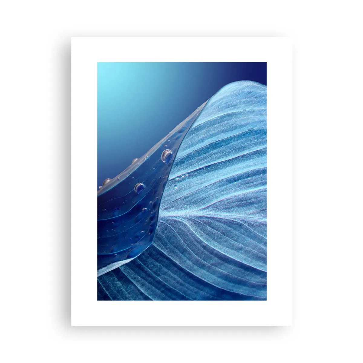 Poster - Versteckte Tropfen vom Blau - 30x40 cm