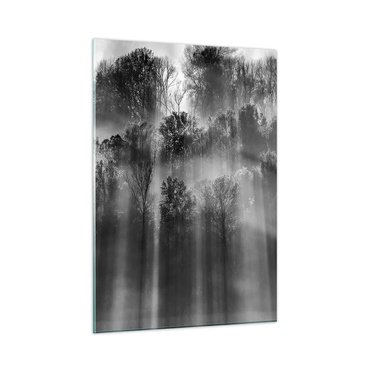 Glasbild - Bild auf glas - Schwarze und weiße Lichtstrahlen durchdringen den Wald - 50x70cm - In Lichtstrahlen - Moderne Wanddekoration für Wohnzimmer und Schlafzimmer ARTTOR
