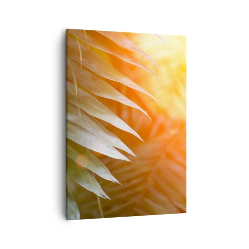 Bild auf Leinwand - Leinwandbild - Palmblätter in den Strahlen des Sonnenuntergangs - 50x70cm - Morgen im Dschungel - Moderne Wanddekoration für Wohnzimmer und Schlafzimmer ARTTOR
