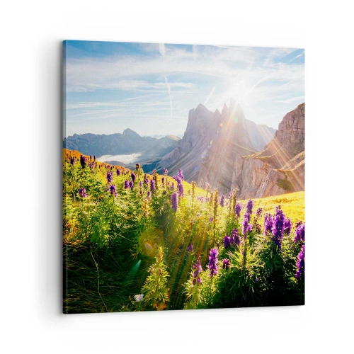 Bild auf Leinwand - Leinwandbild - Das geheime Leben der Kräuter - 60x60 cm