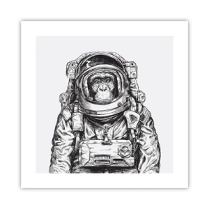 Poster - Alternative Evolution - 40x40 cm