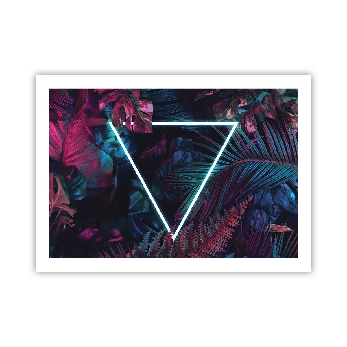Poster - Garten im Disco-Stil - 70x50 cm