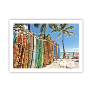 Poster - Sonniger Spaß - 70x50 cm