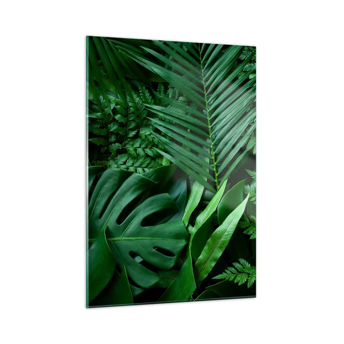 Glasbild - Bild auf glas - Dichte grüne Blätter tropischer Pflanzen in der Komposition - 50x70cm - Eingebettet ins Grüne - Moderne Wanddekoration für Wohnzimmer und Schlafzimmer ARTTOR