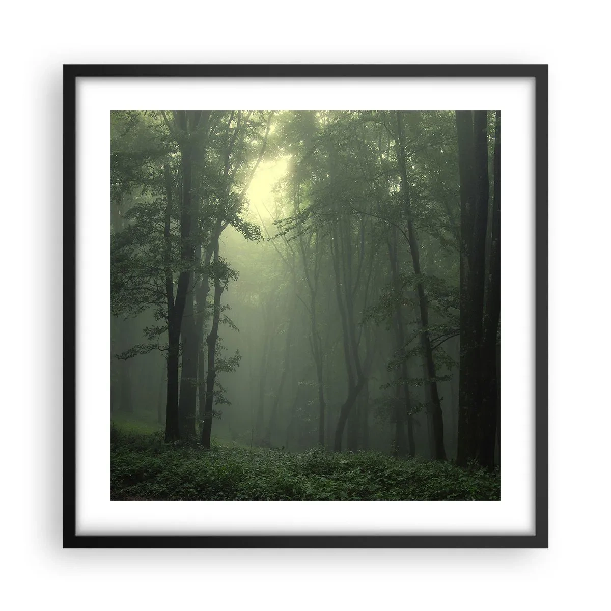 Poster in einem schwarzem Rahmen - Bevor er aufwacht - 50x50 cm