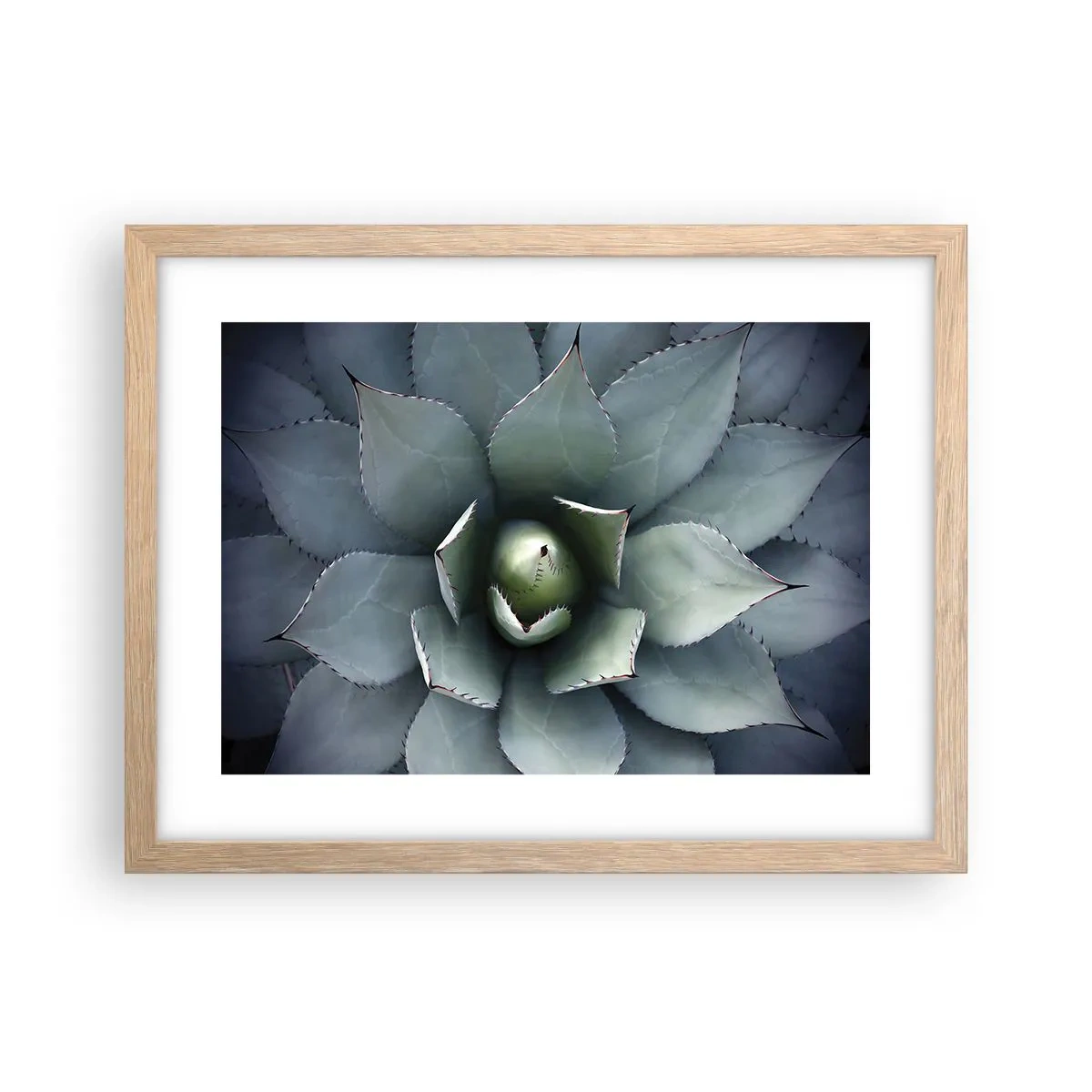 Poster in einem Rahmen aus heller Eiche - Es lockt an und warnt - 40x30 cm