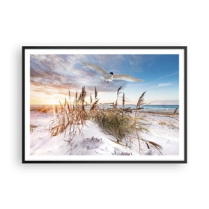 Poster in einem schwarzem Rahmen - Strand mit fliegenden Möwen bei Sonnenuntergang - 100x70cm - Wind vom Meer - Moderne Wanddekoration für Wohnzimmer und Schlafzimmer ARTTOR