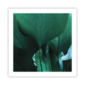 Poster - Dem Licht zugewandt - 50x50 cm