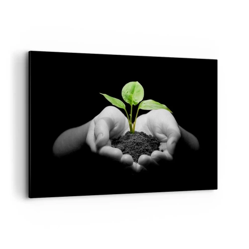 Bild auf Leinwand - Leinwandbild - Hände halten eine grüne Pflanze auf schwarzem Hintergrund - 120x80cm - Ich liebe die Natur, ich beschütze sie - Moderne Wanddekoration für Wohnzimmer und Schlafzimmer ARTTOR