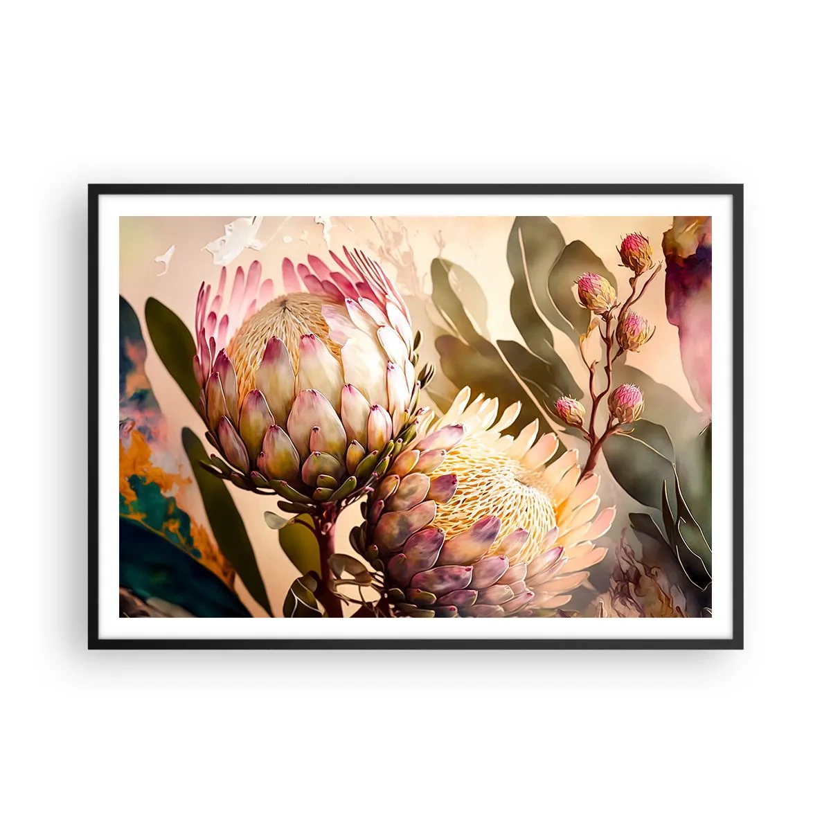 Poster in einem schwarzem Rahmen - Bunte Protea-Blüten auf zartem Hintergrund - 100x70cm - Zärtlich umarmt - Moderne Wanddekoration für Wohnzimmer und Schlafzimmer ARTTOR