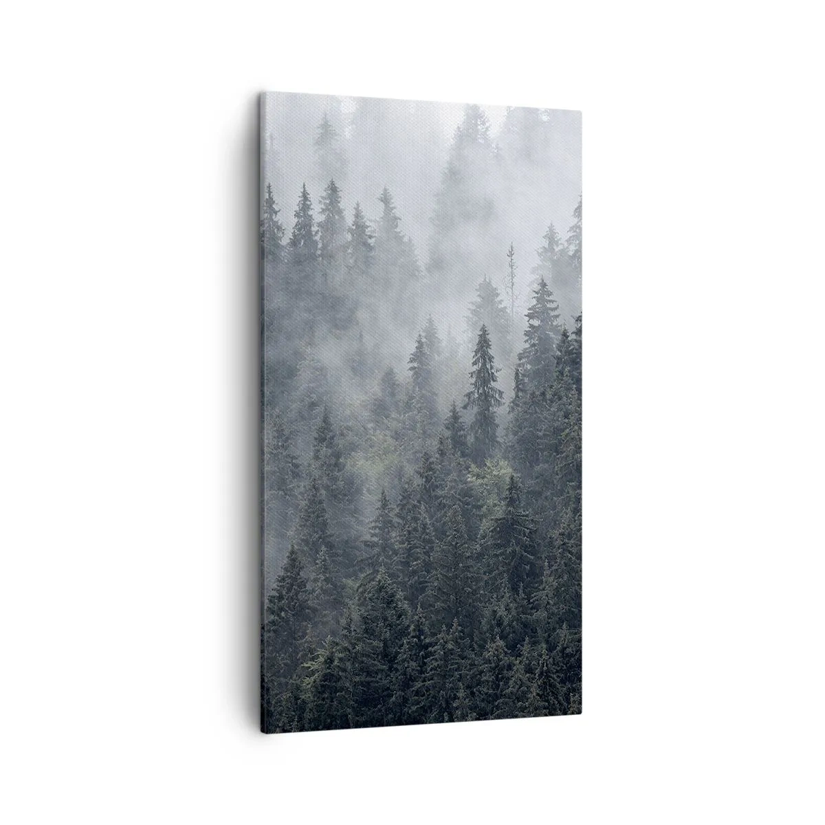 Bild auf Leinwand - Leinwandbild - Walddämmerung - 45x80 cm