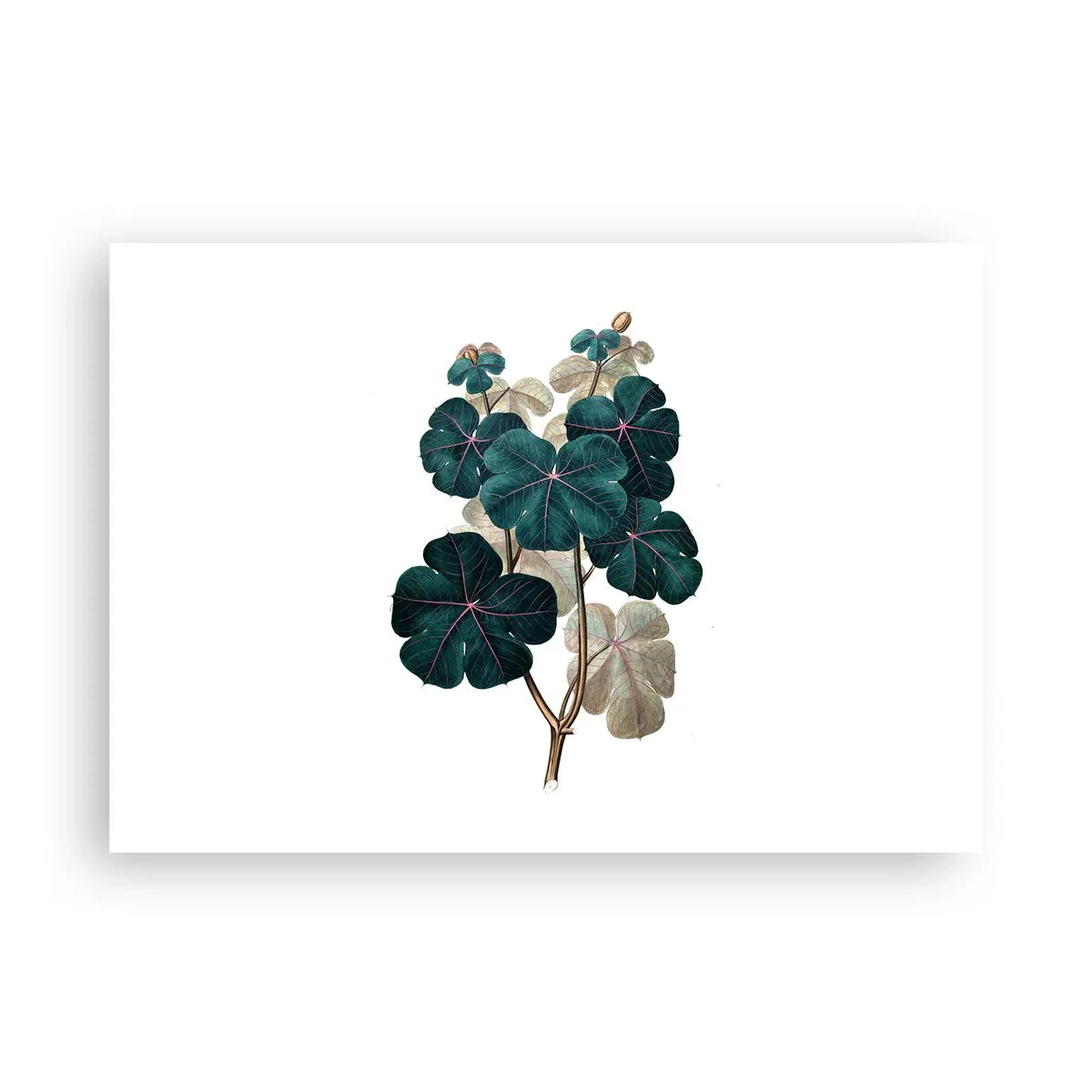 Poster - Botanische Illustration mit Blättern in Grün- und Beigetönen - 100x70cm - Aus dem alten Herbarium - Moderne Wanddekoration für Wohnzimmer und Schlafzimmer ARTTOR