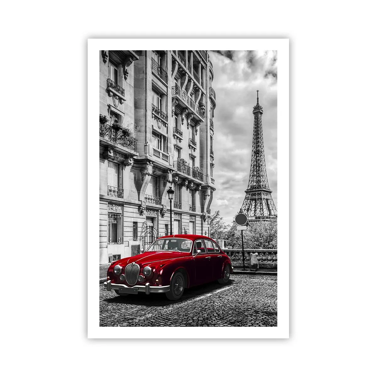 Poster - Raubtier in der Stadt - 61x91 cm