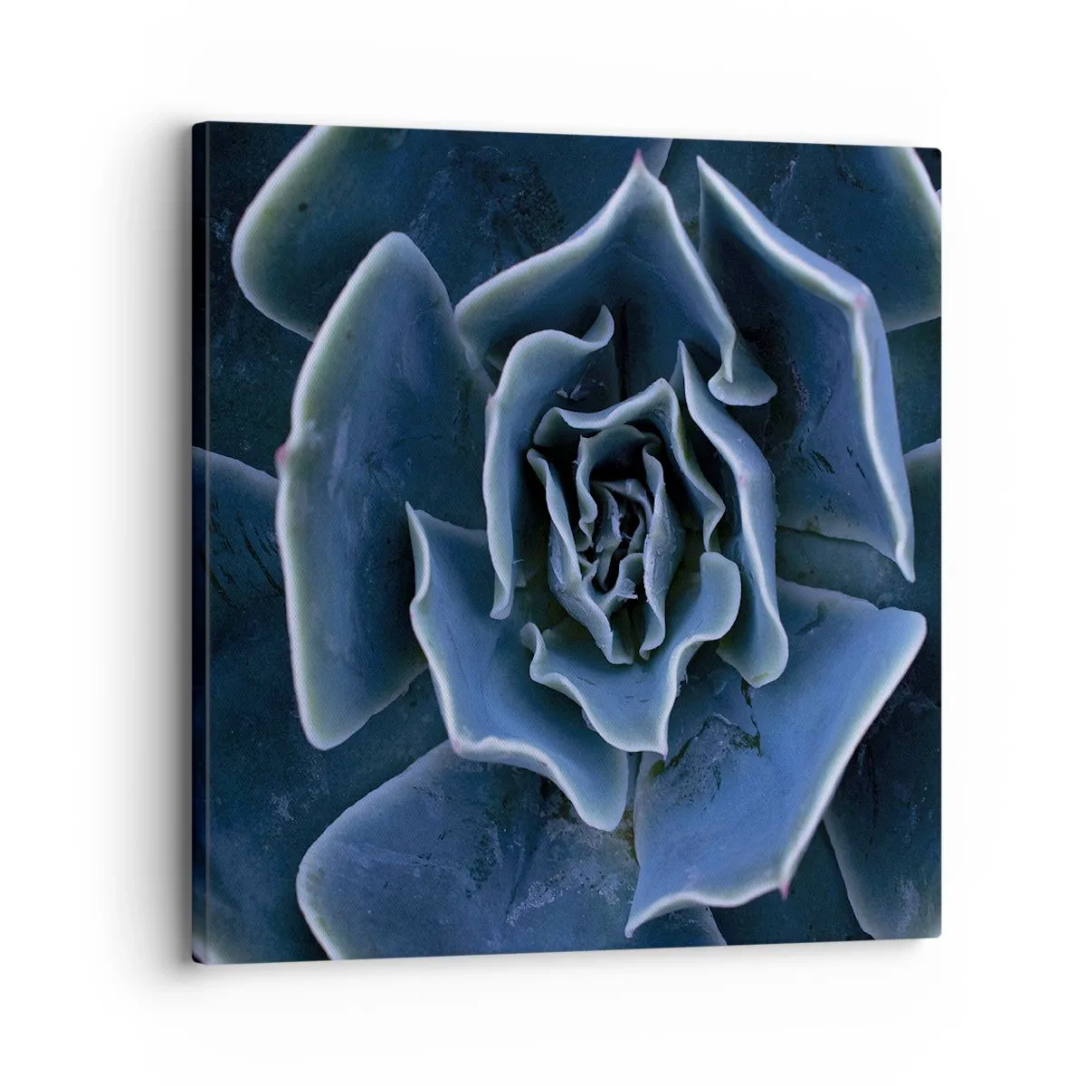 Bild auf Leinwand - Leinwandbild - Wüstenblume - 30x30 cm