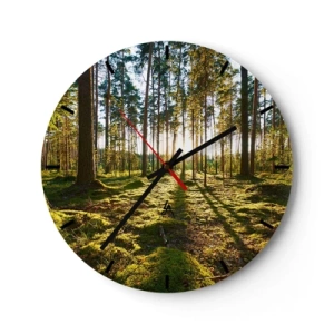 Wanduhr - Glasuhr - Sonnenlicht scheint durch hohe Bäume im Wald - 30x30cm - … Hinter den sieben Wäldern - Moderne Wanddekoration für Wohnzimmer, Küche und Schlafzimmer ARTTOR