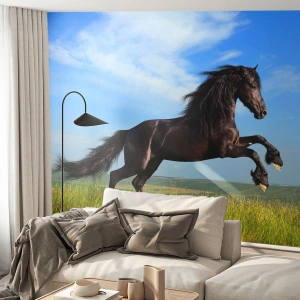 Fototapete Premium Sand - Ein schwarzes Pferd galoppiert gegen den Himmel - 100x70cm - Ein spannendes Manifest der Freiheit - Moderne Wanddekoration für Wohnzimmer und Schlafzimmer ARTTOR