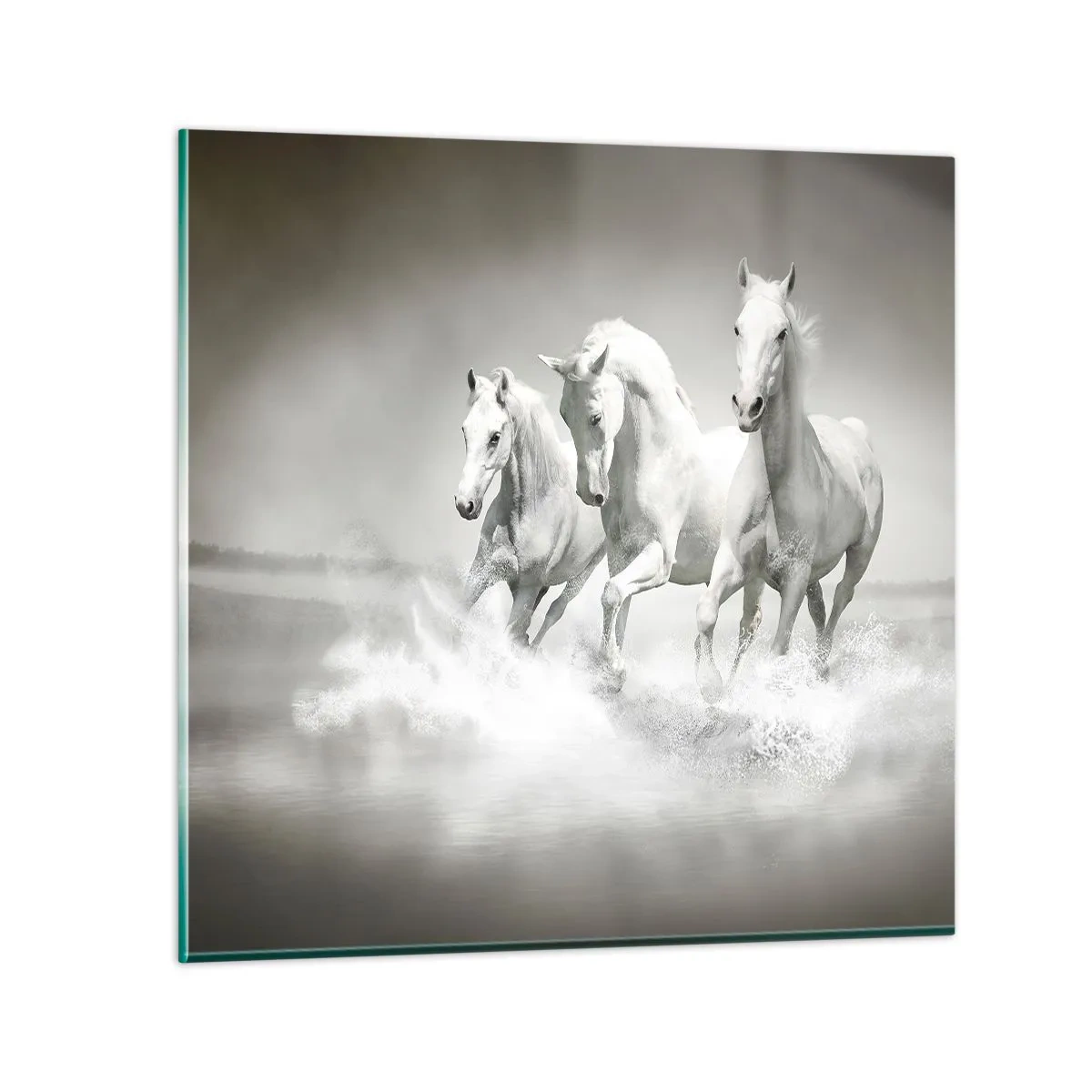 Glasbild - Bild auf glas - Weißer Wahnsinn - 70x70 cm