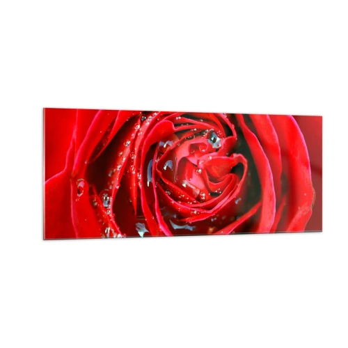 Glasbild - Bild auf glas - In den Tautropfen - 100x40 cm