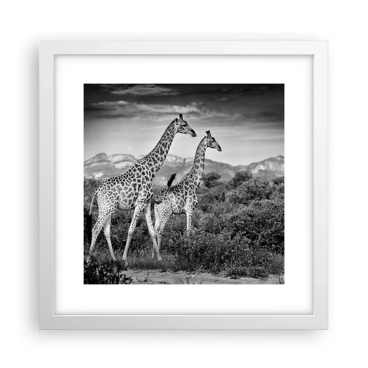 Poster in einem weißen Rahmen - Hohe Sphären in Afrika - 30x30 cm