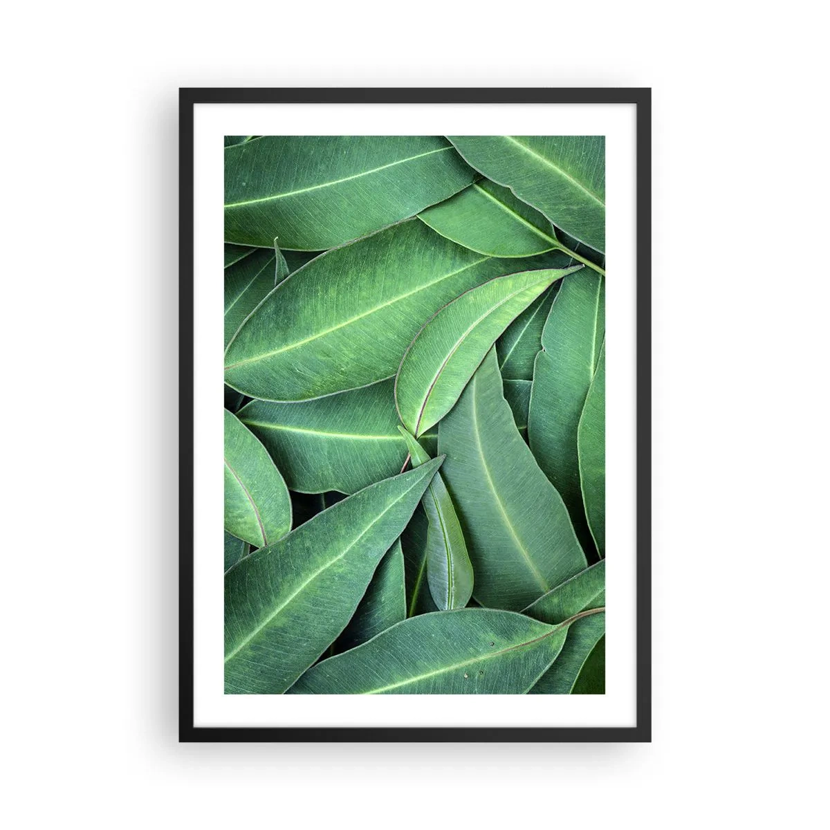 Poster in einem schwarzem Rahmen - Grüne Blätter in einer dichten Komposition angeordnet - 50x70cm - Saftig und frisch - Moderne Wanddekoration für Wohnzimmer und Schlafzimmer ARTTOR