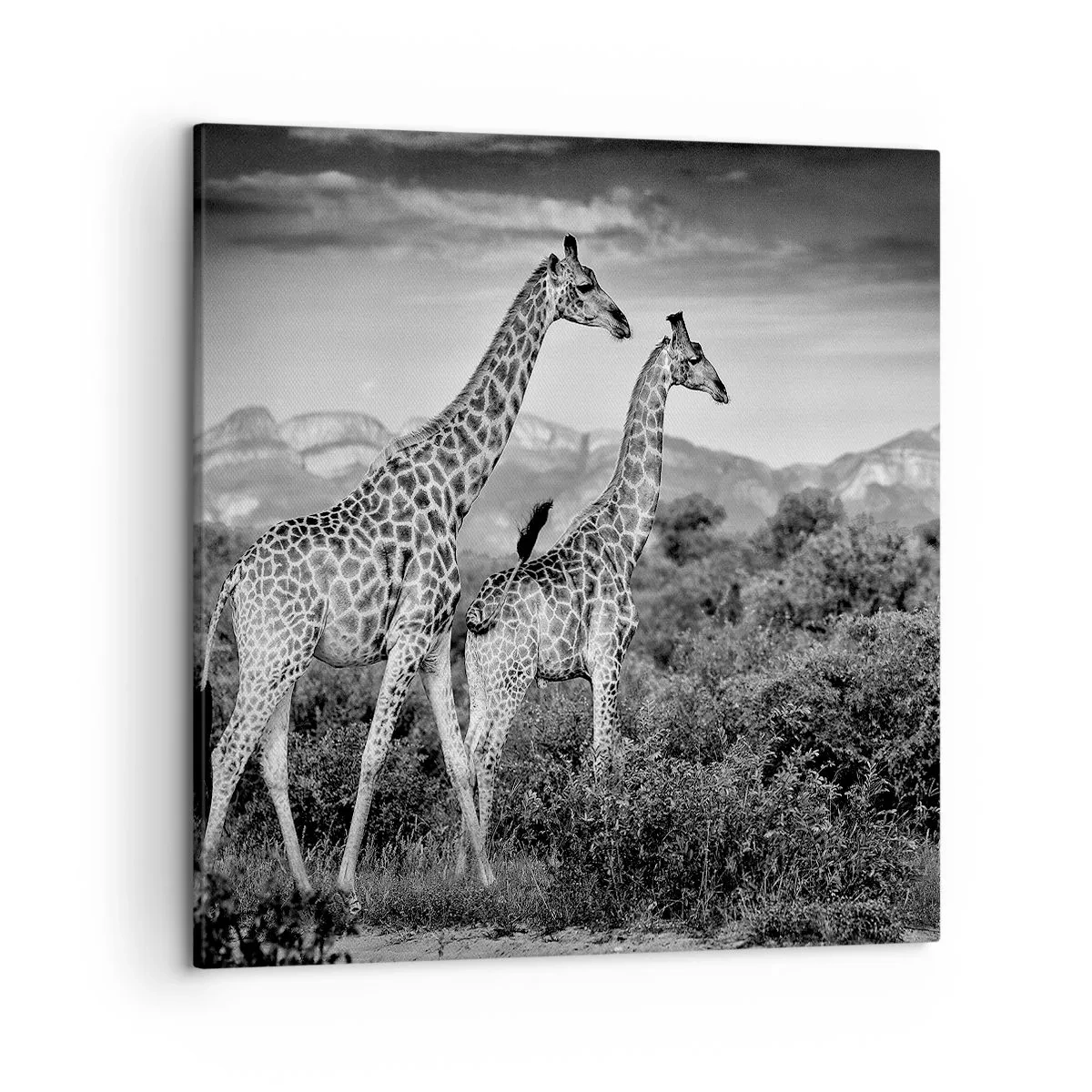 Bild auf Leinwand - Leinwandbild - Hohe Sphären in Afrika - 50x50 cm