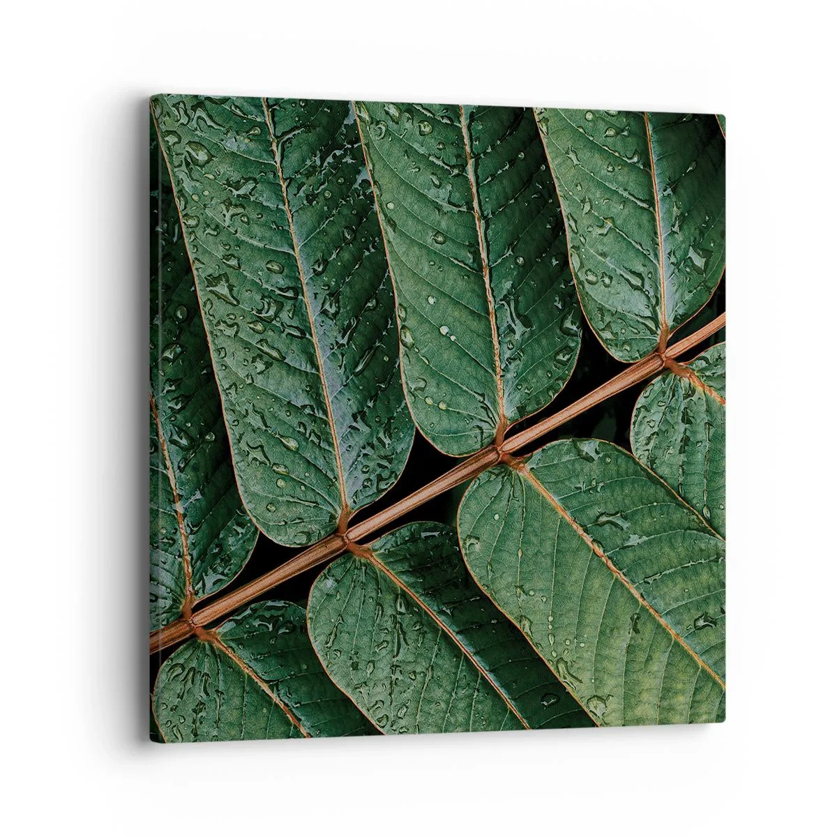 Bild auf Leinwand - Leinwandbild - Im grünen Rhythmus - 40x40 cm