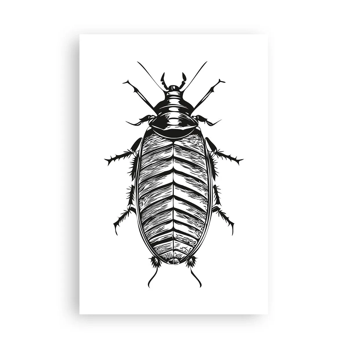 Poster - Was für ein Exemplar! - 61x91 cm