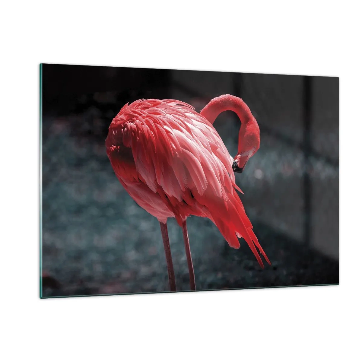 Glasbild - Bild auf glas - Ein Flamingo in intensiven Rottönen auf dunklem Hintergrund - 120x80cm - Ein purpurrotes Gedicht der Natur - Moderne Wanddekoration für Wohnzimmer und Schlafzimmer ARTTOR