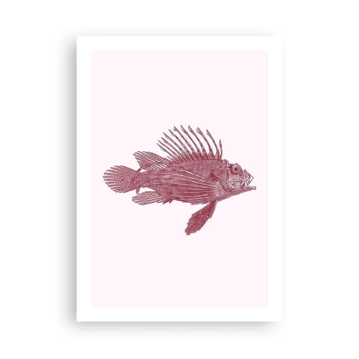 Poster - Fischzeichnung im Vintage-Stil auf hellem Hintergrund - 50x70cm - Bewohner exotischer Gewässer - Moderne Wanddekoration für Wohnzimmer und Schlafzimmer ARTTOR