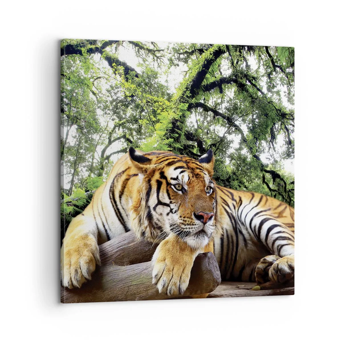 Bild auf Leinwand - Leinwandbild - Hochachtungsvoll - 60x60 cm