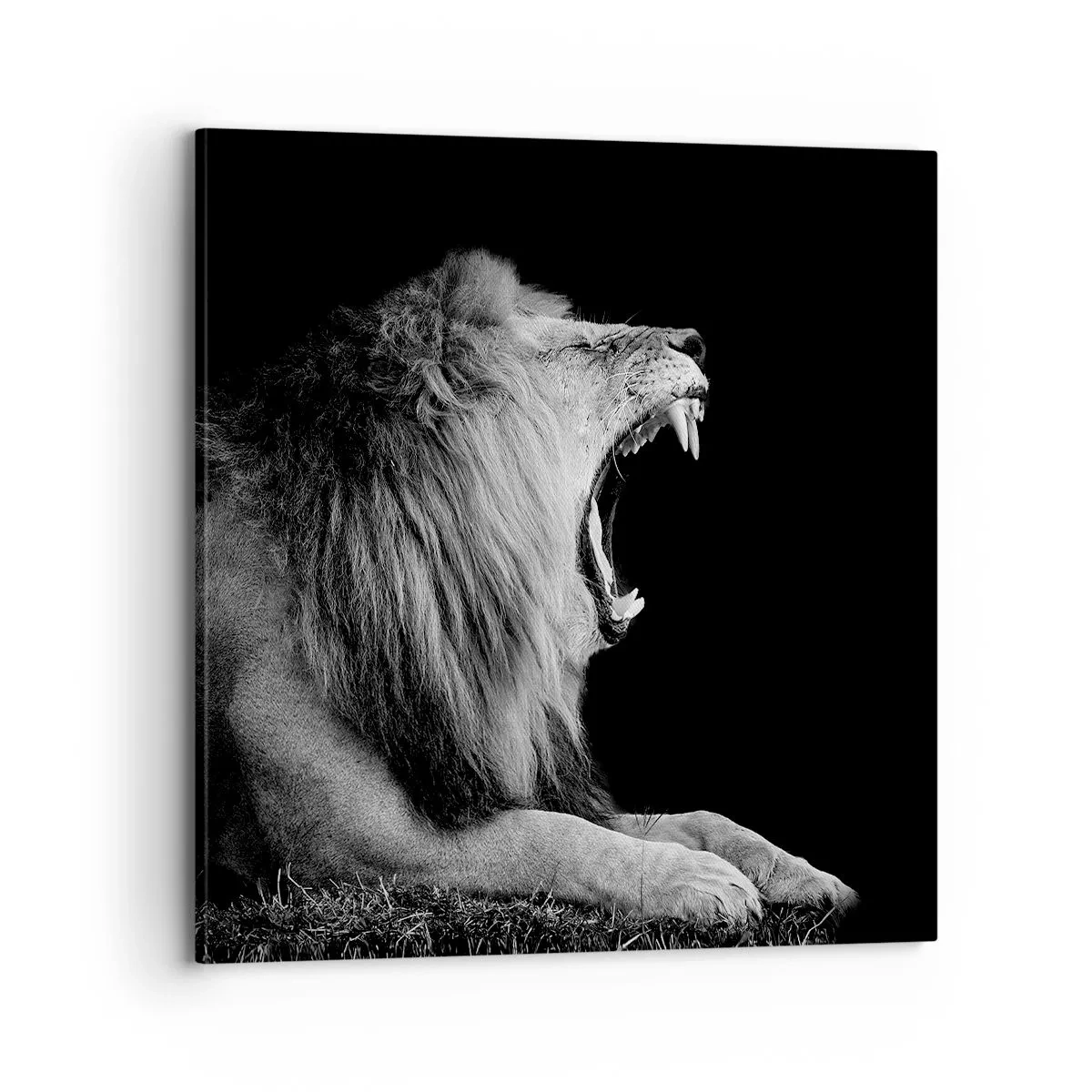 Bild auf Leinwand - Leinwandbild - Ohne Zweifel - 70x70 cm