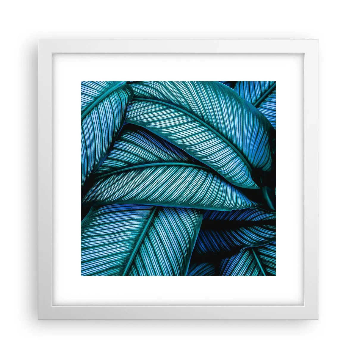 Poster in einem weißen Rahmen - Lebenslinien - 30x30 cm