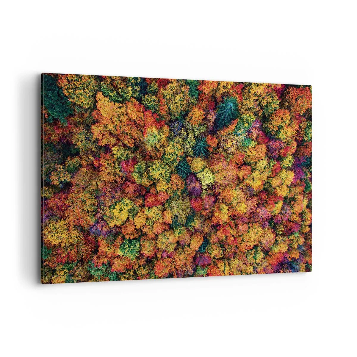 Bild auf Leinwand - Leinwandbild - Bunte Baumkronen in der Herbstpalette - 120x80cm - Blumenstrauß aus Herbstbäumen - Moderne Wanddekoration für Wohnzimmer und Schlafzimmer ARTTOR