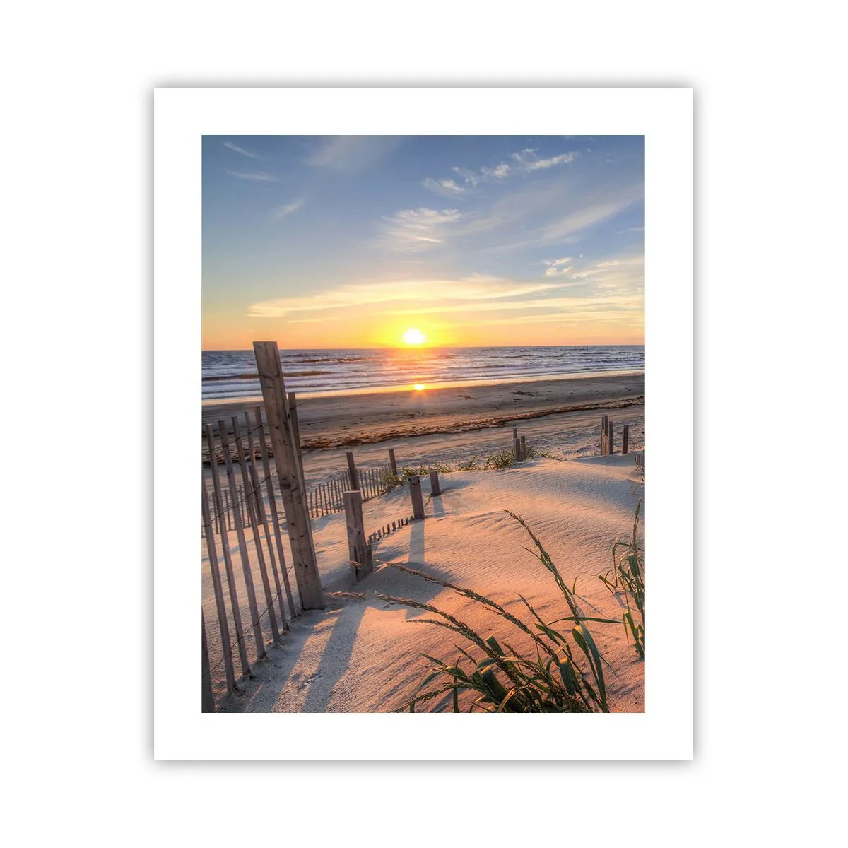 Poster - Schein und Schatten des Windes - 40x50 cm