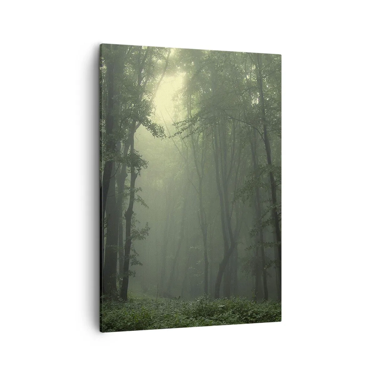 Bild auf Leinwand - Leinwandbild - Ein grüner Wald am Morgen, eingehüllt in einen zarten Nebel - 50x70cm - Bevor er aufwacht - Moderne Wanddekoration für Wohnzimmer und Schlafzimmer ARTTOR